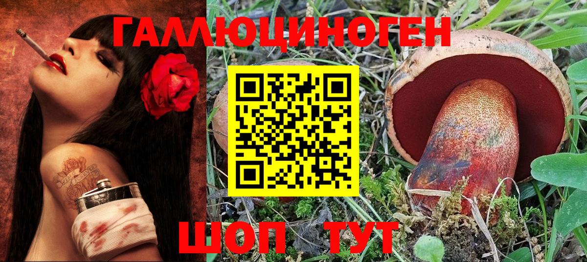 Галлюциногенные грибы Psilocybe  Вход с VPN  Грязи 
